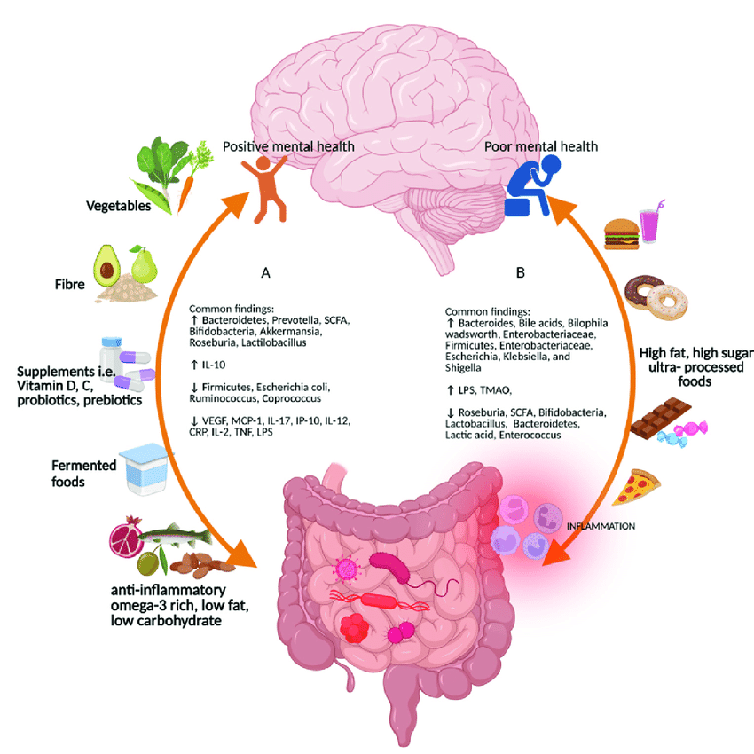 Ways your gut health transforms your mood