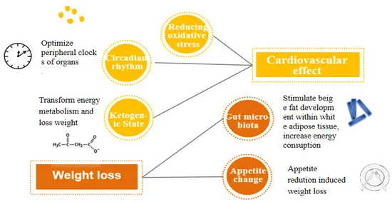 intermittent fasting benefits