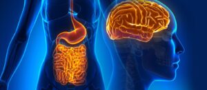 ways gut health affect your mood