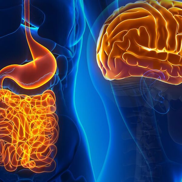 ways gut health affect your mood